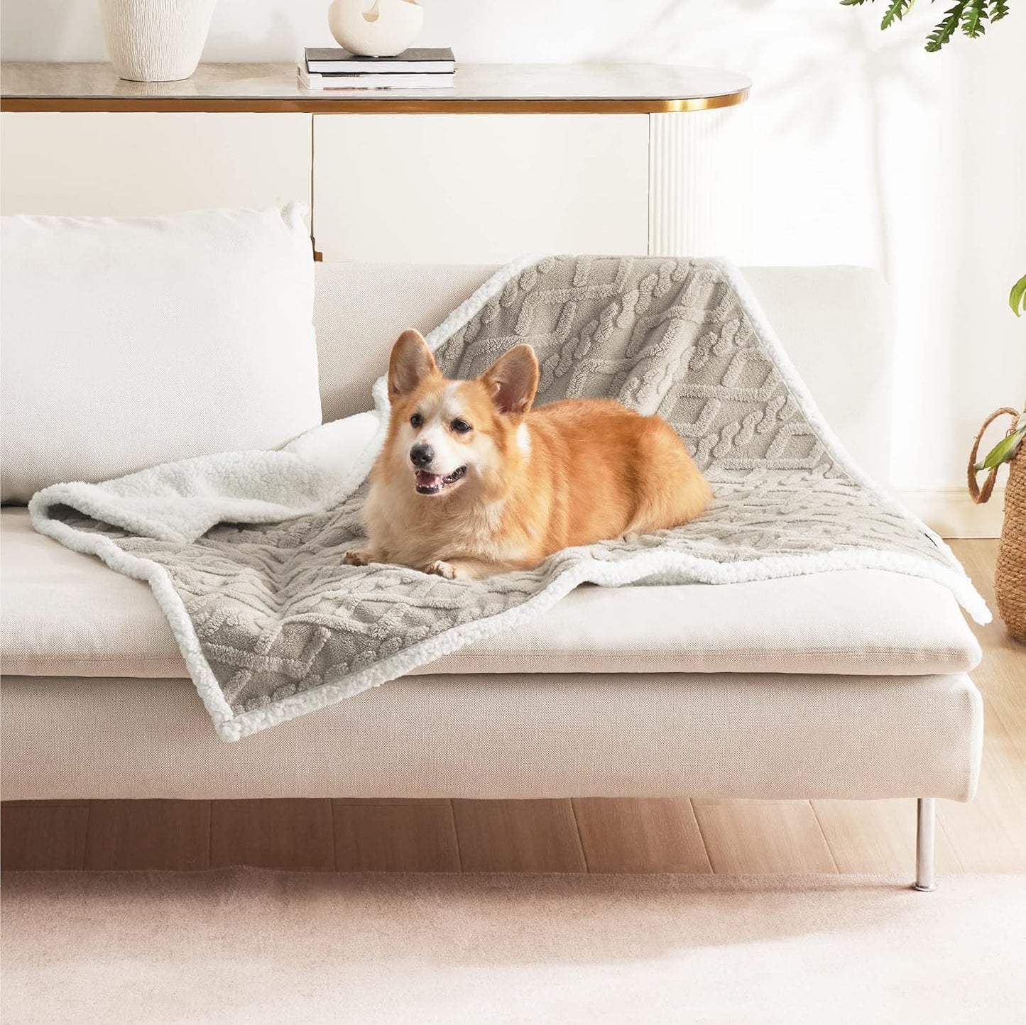 Bedsure Waterproof Dog Blankets for Medium Dogs - Pet Blanket for Couch Protector Washable, Jacquard Coral Fleece Cat Throw Blanket, Soft Plush Reversible Furniture Protection, 30"x40", Pale Oak