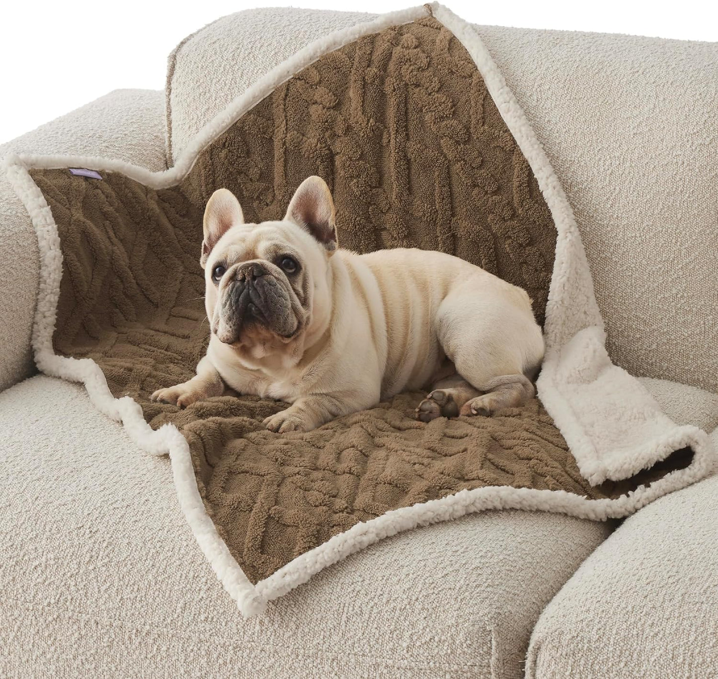 Bedsure Waterproof Dog Blankets for Medium Dogs - Pet Blanket for Couch Protector Washable, Premium Jacquard Coral Fleece Cat Throw Blanket, Soft Plush Reversible Furniture Protection,30"x40", Taupe