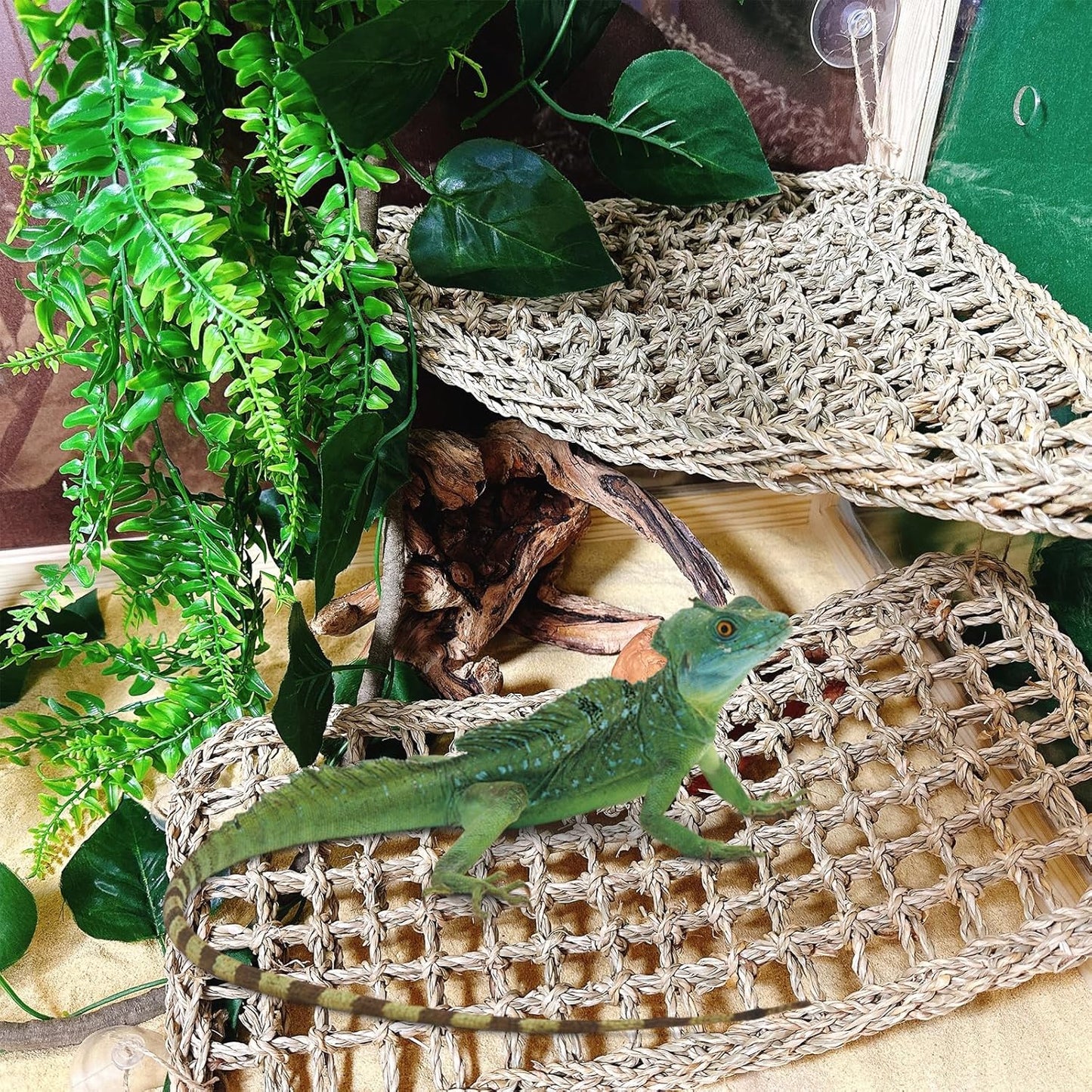 6PCS Bearded Dragon Hammock Lizard Natural Seagrass Hammock Reptile Jungle Climbing Vines and Leaves with Suction Cups Habitat Décor Tank Accessories for Hiding& Climbing Snake Gecko Bird Chameleon