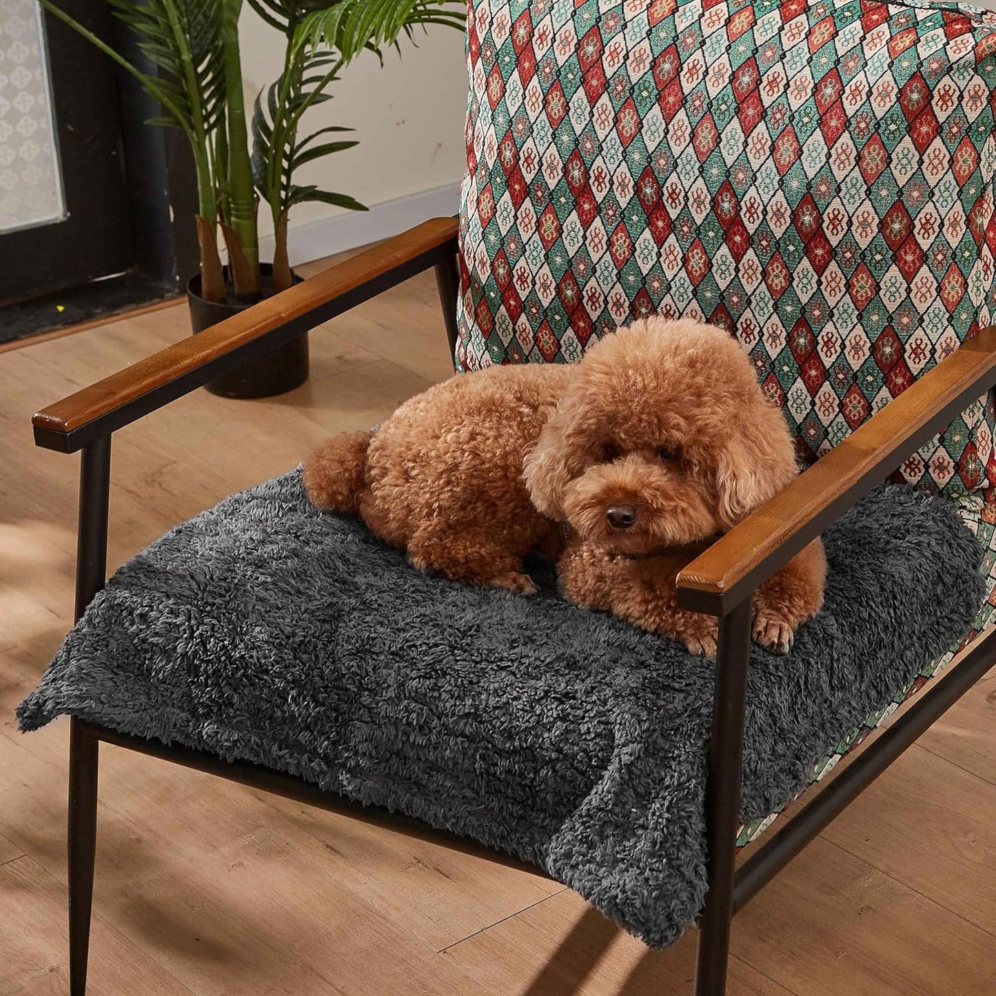 Kritter Planet Waterproof Dog Blankets for Small Dogs, Puppy Blankets for Litter, Cat Blankets for Indoor Cats Washable, Reversible Fleece Pet Mat for Crates, Car Seats, and Furniture