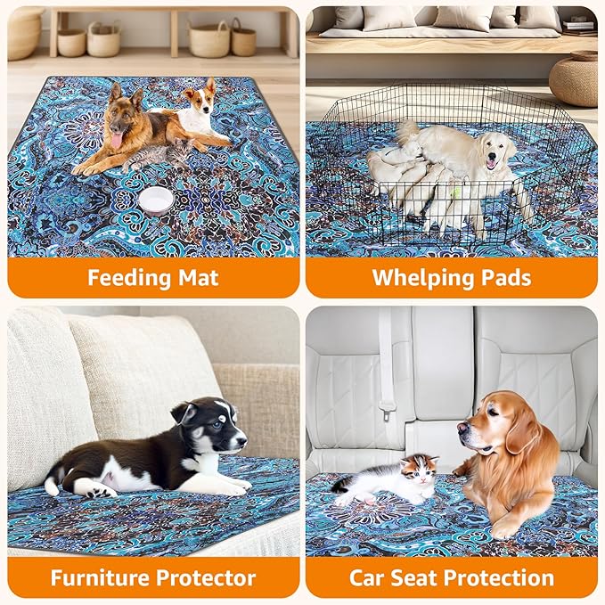 LOOBANI Washable Pee Pads for Dogs, 2 Pack Super Absorbent Reusable Puppy Pads Leakproof Dog Traning Pads, Waterproof Non-Slip Whelping Pad for Floor, Playpen, Crate, Couch-41 x41 (Green)