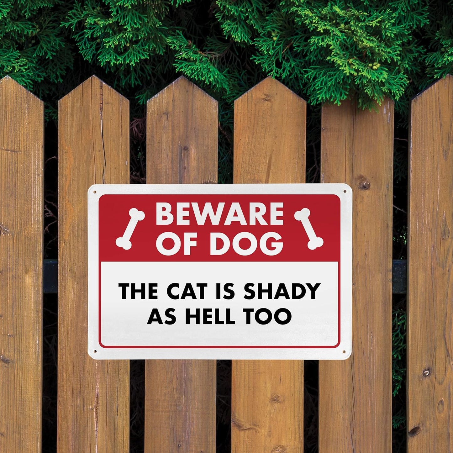 Beware of Dog The Cat Is Shady Too - Funny Cat Sign, Metal - 8" x 12" - Cat Signs for Home Decor, Gift for Cat Lovers, Cat Warning Sign - ENVISIONED Signage