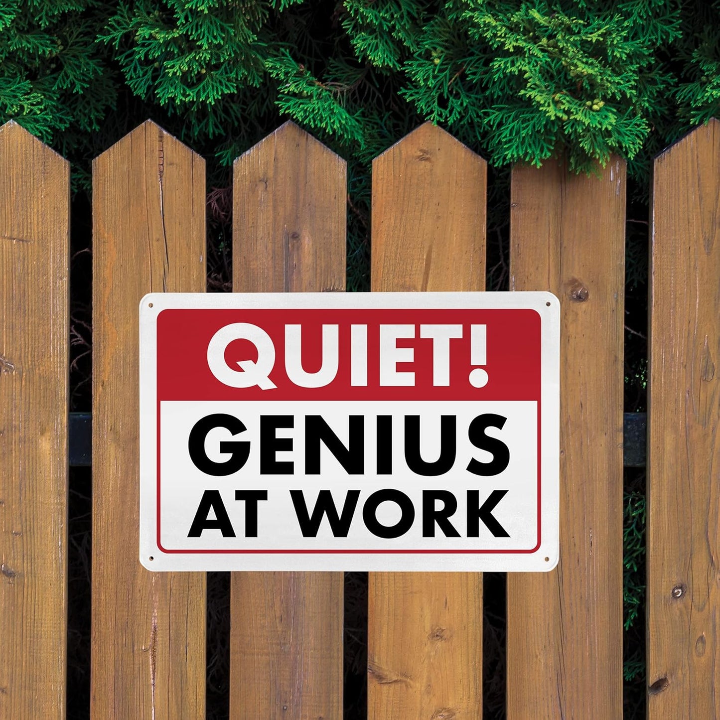 ENVISIONED Signage Quiet! Genius At Work - Humorous Metal Sign 8" x 12" - Funny Garage, Office Wall Decor, Mechanic Gift, Street Sign for Bedroom