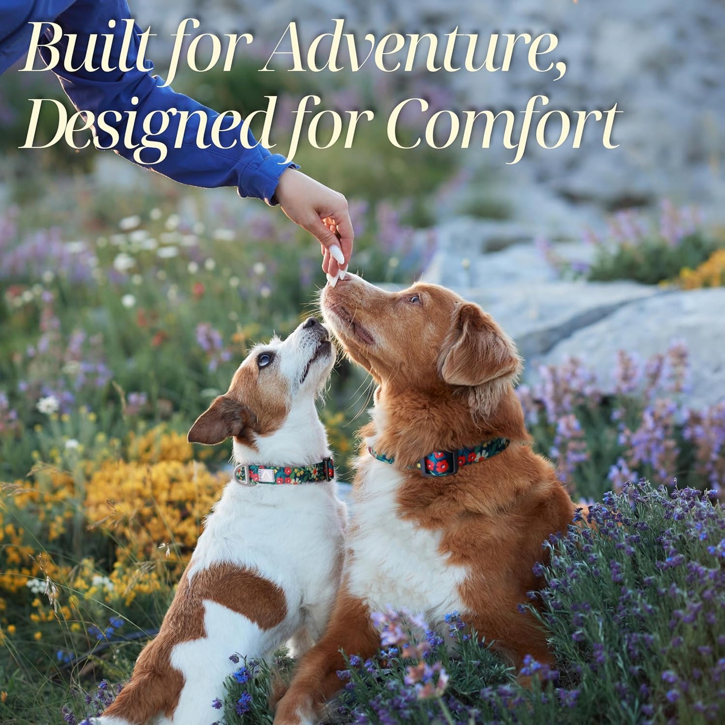 Dog Collar for Large Dogs with Reflective Logo and Soft Padded Neoprene,Floral Print Design,Adjustable,Lightweight & Durable, Neck Size 16’’-25’’ (Floral, L)