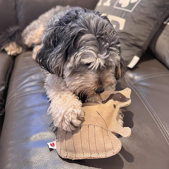 SPOT Dura-Fused Leather Raccoon Dog Toy – Real Leather & Jute Fabric, Double-Stitched & Durable, Squeaky Interactive Chew Toy for Moderate Chewers, Small & Medium Dogs, Soft Stuffed Fetch Toy, 7.25in