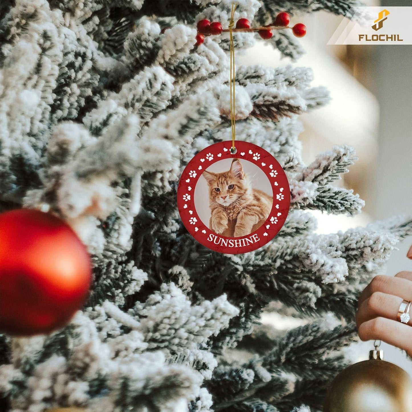 FLOCHIL Personalized Cat Christmas Ornaments Custom Photo Name for Christmas Trees, Cat First Christmas Ornaments, Gifts for Pet Lovers