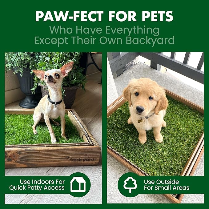 Fresh Patch Mini Real Grass Patch for Dogs, Cats, and Small Pets Under 8 Pounds – Disposable Pet Grass Pee Pads – Indoor and Outdoor Potty Training Mat (12 Inches x 16 Inches)