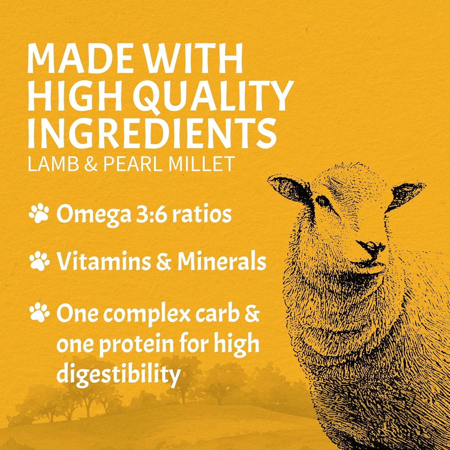 Canine Caviar - Open Meadow: Lamb & Pearl Millet Alkaline Dry Dog Food, Limited Ingredients, Gluten-Free, Based on Science & Research, Veterinary Alternative Diet (4.4 Pound Bag)