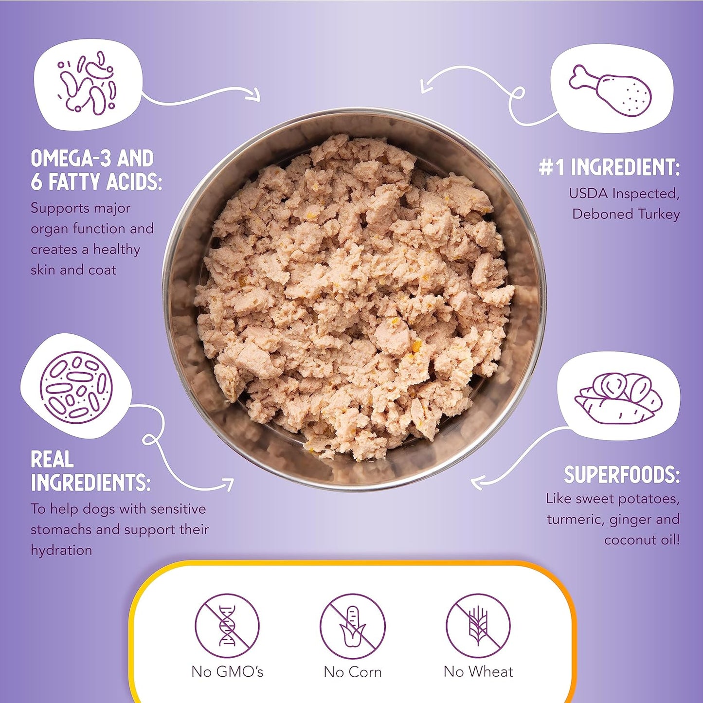 Health Extension Wet Dog Food Turkey & Sweet Potato Entrée in Gravy, 9 oz - Digestive Support with Superfoods & Antioxidants for Immune Support (Case of 12 Cans)