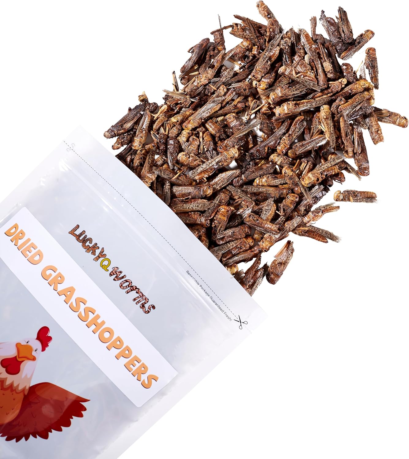 Freeze Dried Grasshoppers - High Protein Reptile & Bird Food, 1lb Resealable Bag for Bearded Dragons, Lizards, Hedgehogs | Natural, No Additives