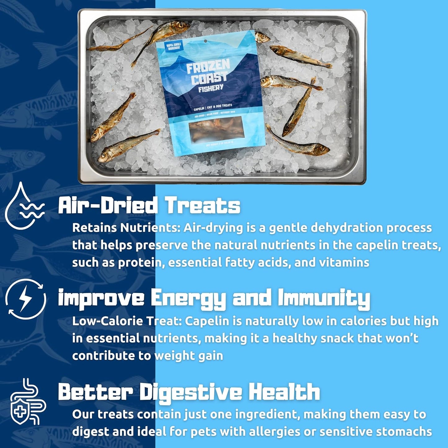 Frozen Coast Capelin Cat & Dog Treats- Single-Ingredient, All-Natural, High-Protein, Omega-3s, Fish Snacks (3 oz Bag)