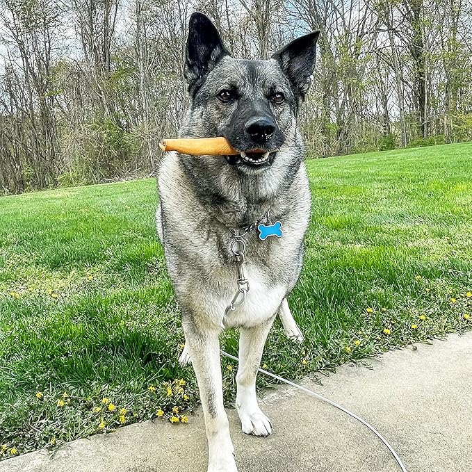 Pet Factory American Beefhide 3" Donuts Dog Chew Treats - Chicken Flavor, 8 Count/1 Pack