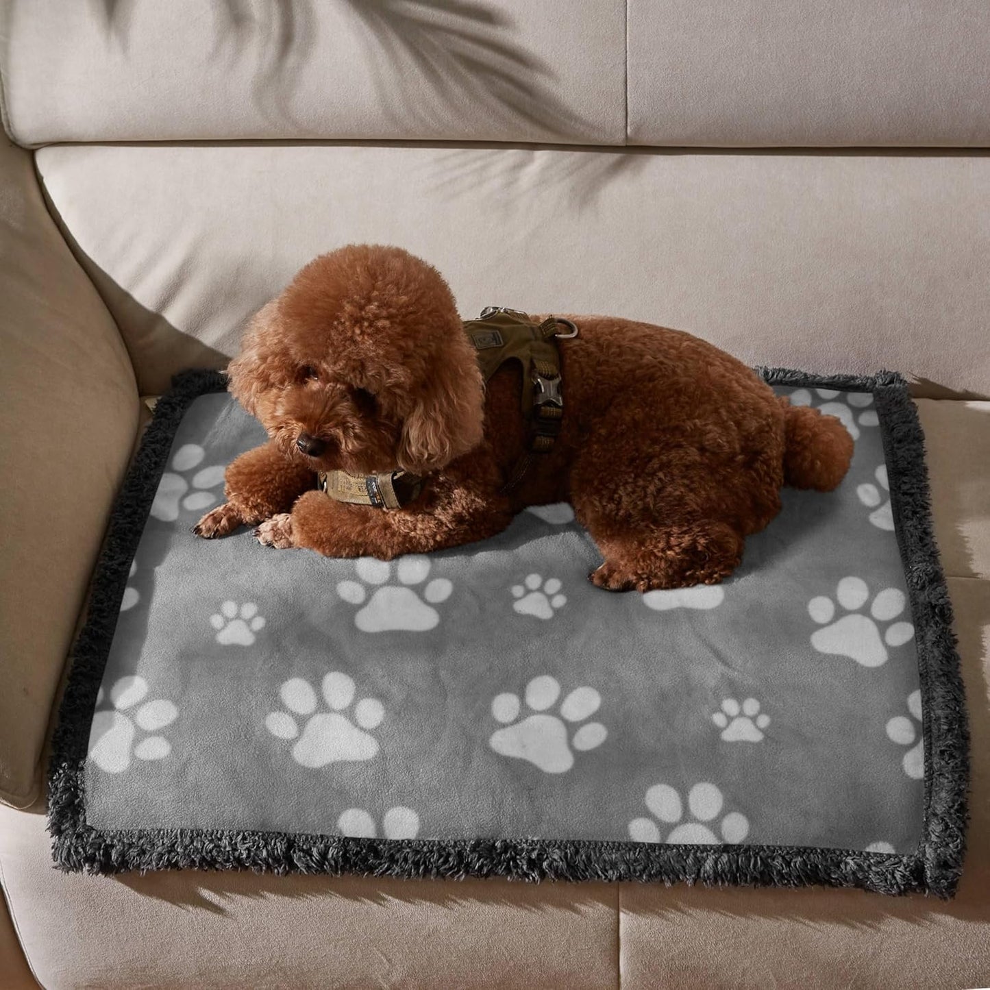 Kritter Planet Waterproof Dog Blankets for Small Dogs, Puppy Blankets for Litter, Cat Blankets for Indoor Cats Washable, Reversible Fleece Pet Mat for Crates, Car Seats, and Furniture