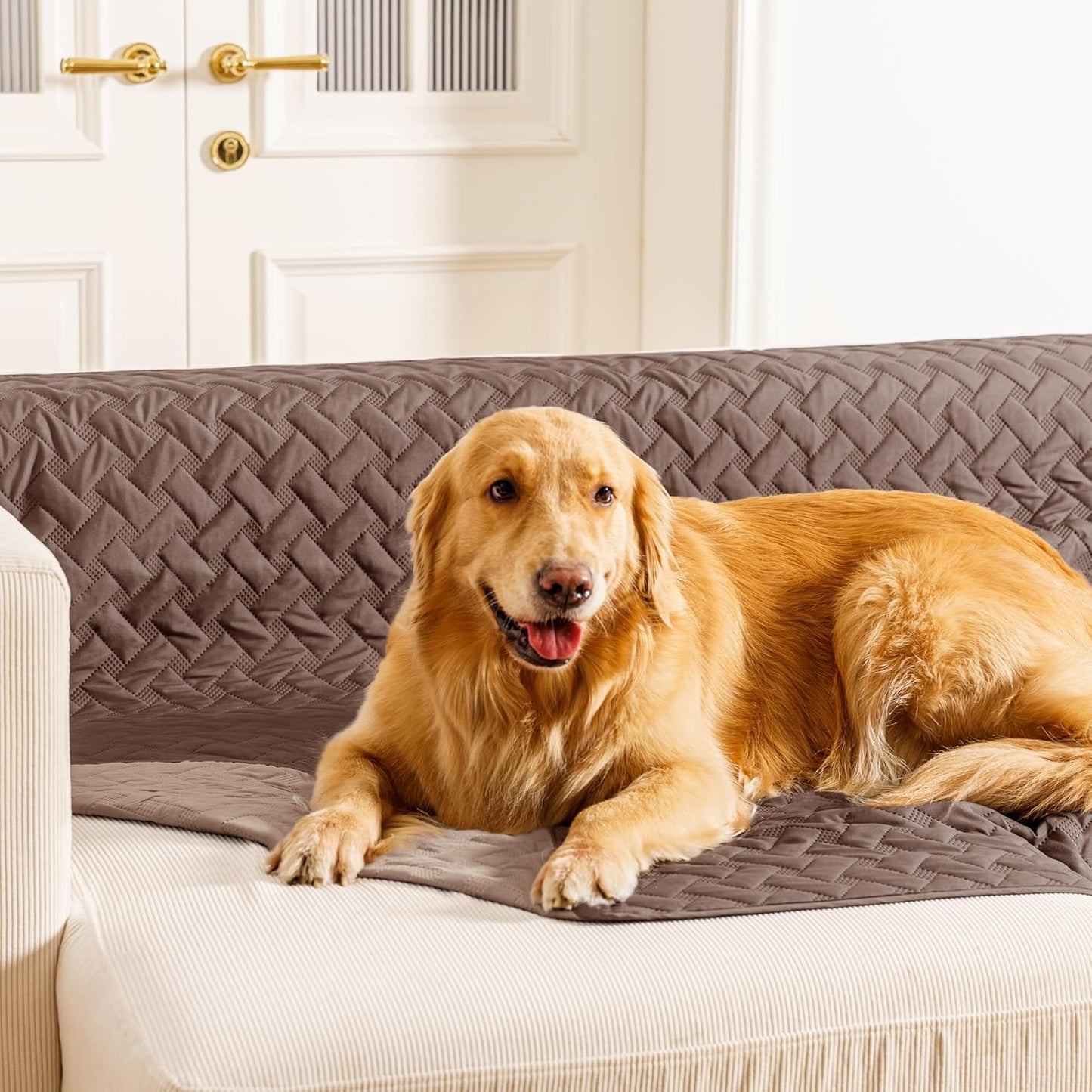 gogobunny 100% Double Sided Waterproof Dog Blanket Soft Pet Bed Cover Reversible Protect Furniture Couch Sofa Car for Puppy Cat Kids (Dark Chocolate/Light Chocolate, 40x50 Inch (Pack of 1))