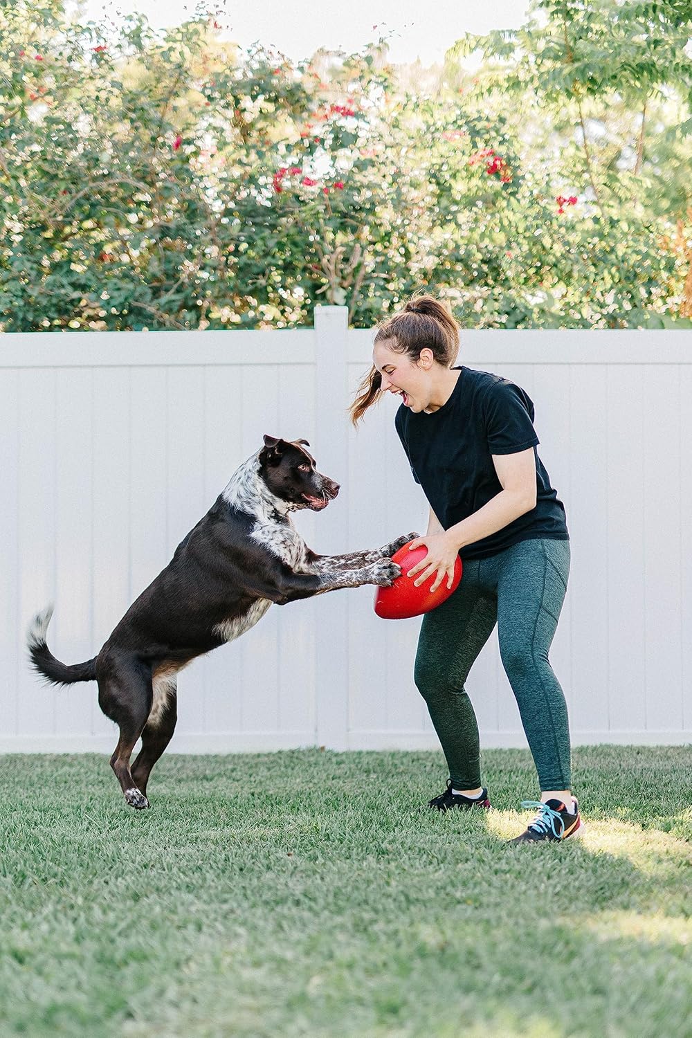 Jolly Pets Jolly Egg Dog Toy, 12 Inches/Large, Yellow