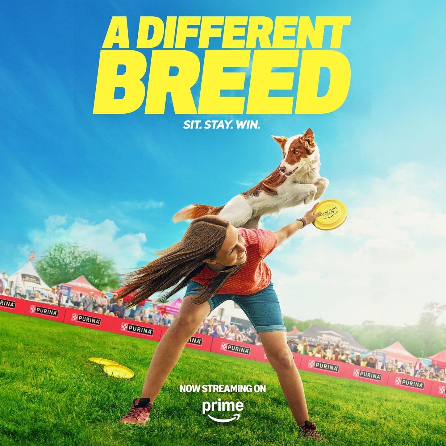 Purina Pro Plan Sensitive Skin and Stomach Dog Food Dry, Adult Salmon & Rice Formula, Digestive Health - 30 lb. Bag