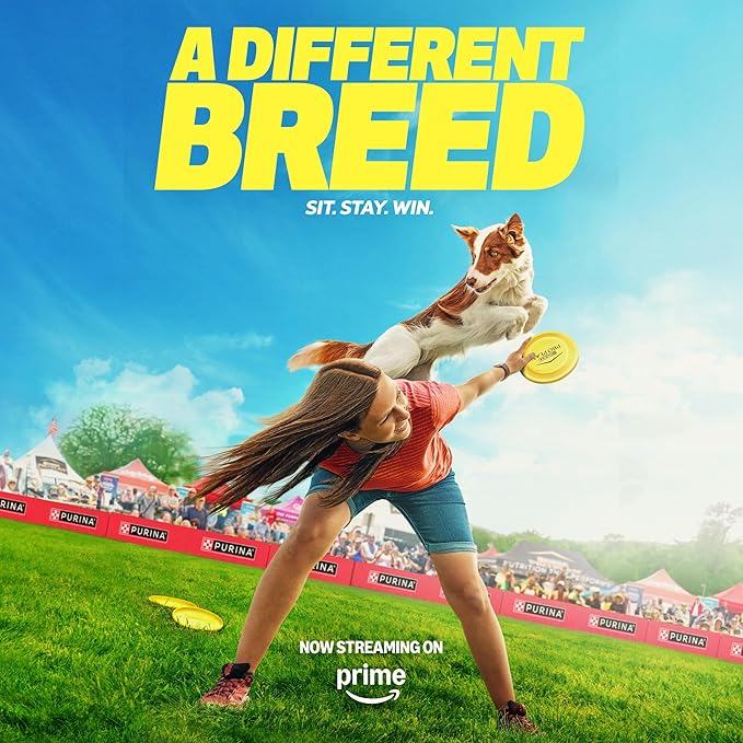 Purina Pro Plan Complete Essentials Classic Pate Dog Food, Chicken and Rice Entrée - (Pack of 12) 13 oz. Cans