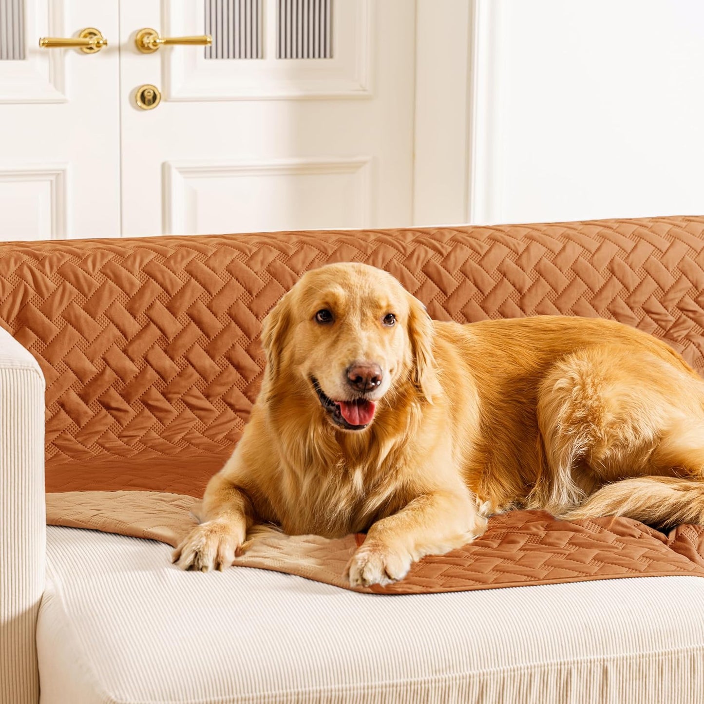 gogobunny 100% Double Sided Waterproof Dog Blanket Soft Pet Bed Cover Reversible Protect Furniture Couch Sofa Car for Puppy Cat Kids (Dark Pumpkin/Light Pumpkin, 40x50 Inch (Pack of 1))