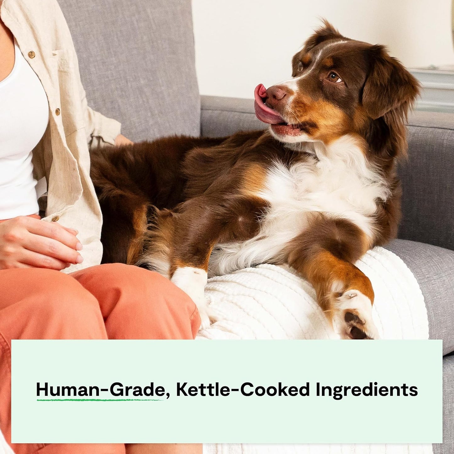 Open Farm Rustic Stews Wet Dog Food, Grain-Free, Complete & Balanced with Human-Grade Ingredients, Humanely-Raised Meat & Bone Broth, Chicken & Salmon Recipe, 12.5oz Packs (Case of 12)