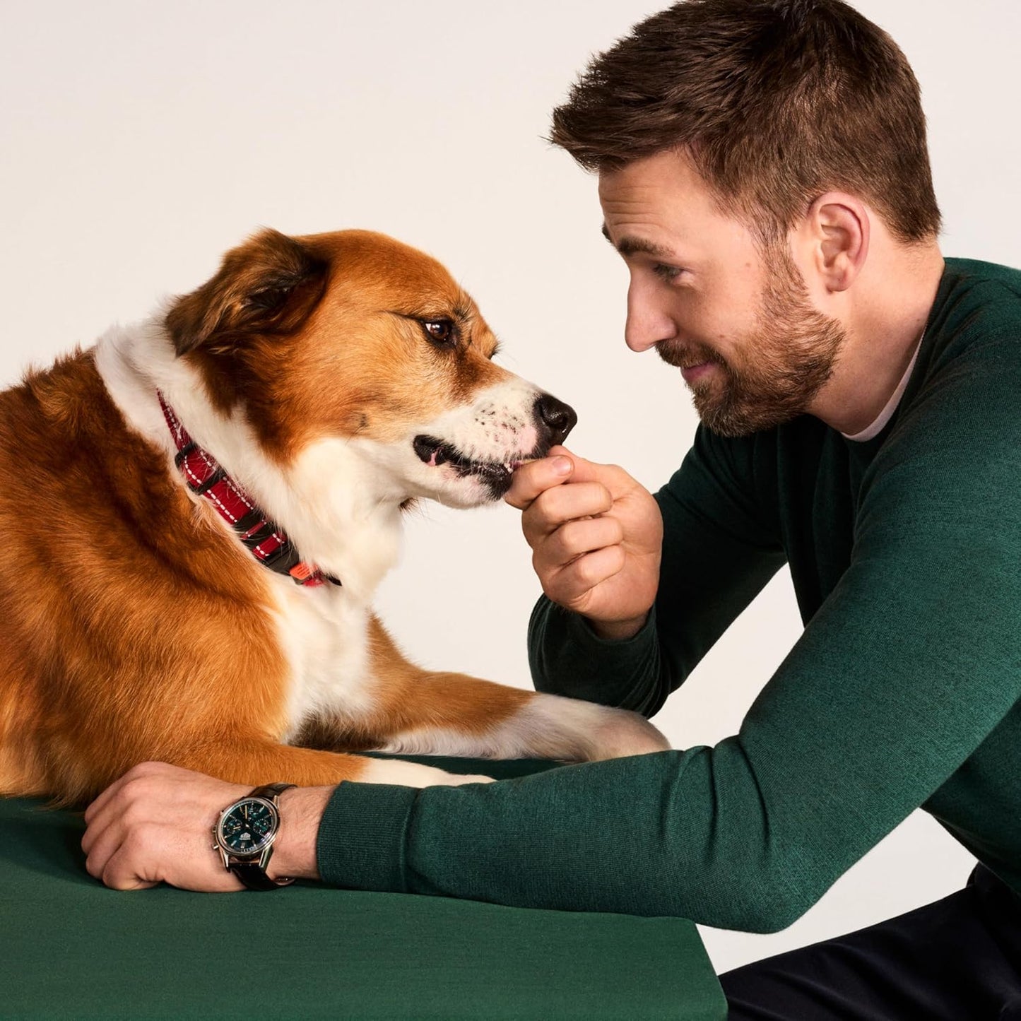 Jinx Oven-Baked Chicken Bone Broth Biscuit Treats, Crunchy, All Natural, Superfood-Rich with Real Chicken, Pumpkin & Blueberries, 16oz