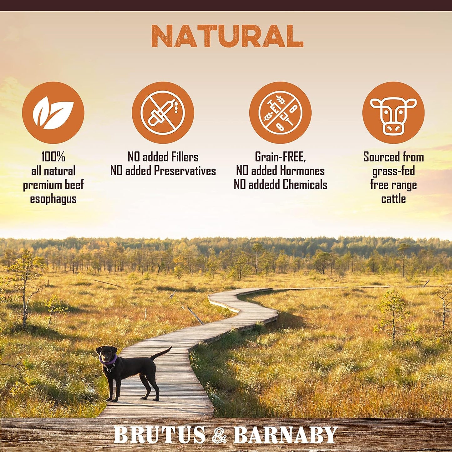 Gullet Sticks for Dogs, All Natural Single Ingredient Beef Jerky Chews, Healthy Beef Gullet Sticks, Naturally Occurring Glucosamine & Chondroitin, Can Help Joint Function for Puppies or Senior Dogs