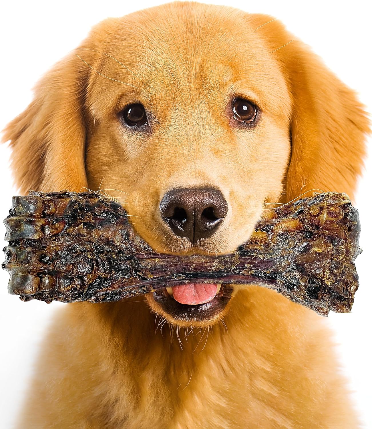 Large Dog Bones Long Lasting, Liver Coated Dog Bones for Aggressive Chewers, Natural Treats for Large Dogs, Healthy Beef Shin Chew Bone, 1 Count