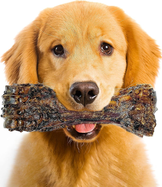 Large Dog Bones Long Lasting, Liver Coated Dog Bones for Aggressive Chewers, Natural Treats for Large Dogs, Healthy Beef Shin Chew Bone, 1 Count