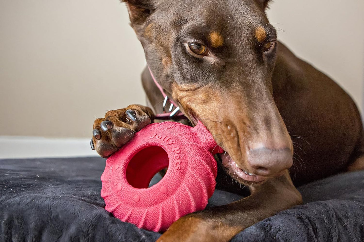 Jolly Pets 4.5"" Jolly Tuff Treader, Red, JTR22