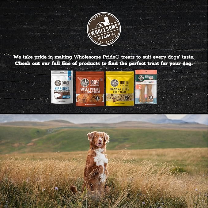 Wholesome Pride Pumpkin Slices 100% All-Natural Limited Ingredient Dehydrated Dog Treats, 10 oz