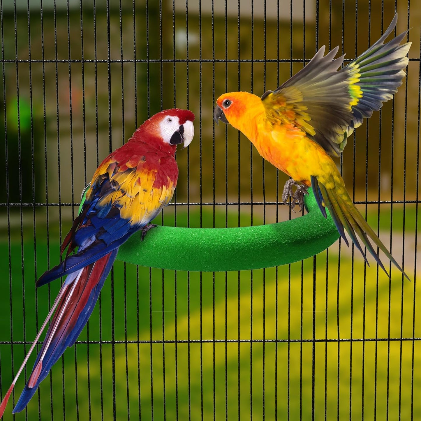 U Shape Parrot Perch Stand Toy Bird Platform Sand Paw Grinding Clean Stick Exercise Conure Budgie Cockatiel Cage Accessories (Green)