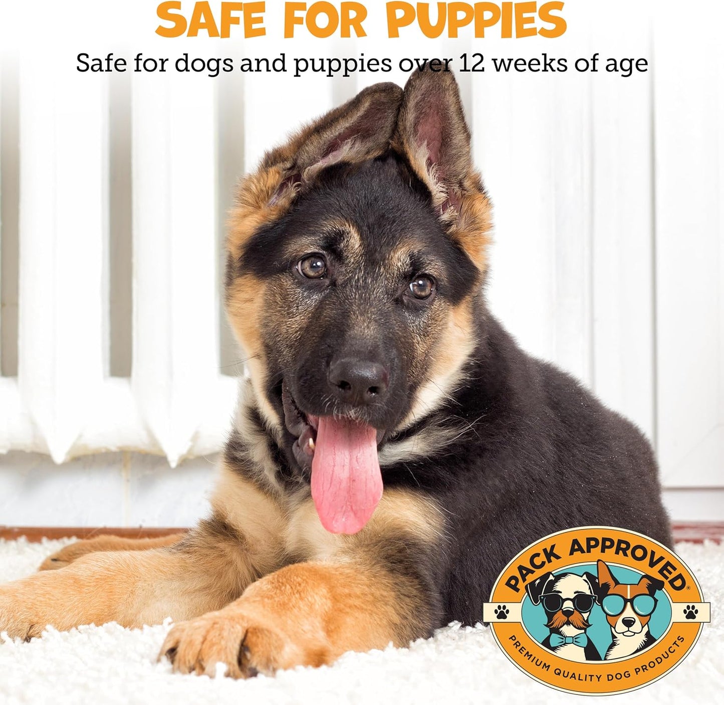 Ear Wipes for Dogs with Aloe Vera & Eucalyptus - Gentle Ear Cleaner for Dogs to Help Remove Wax and Odor - Convenient and Mess-Free Cleaning Pads for Dirty, Itchy Ears - 100 Wipes