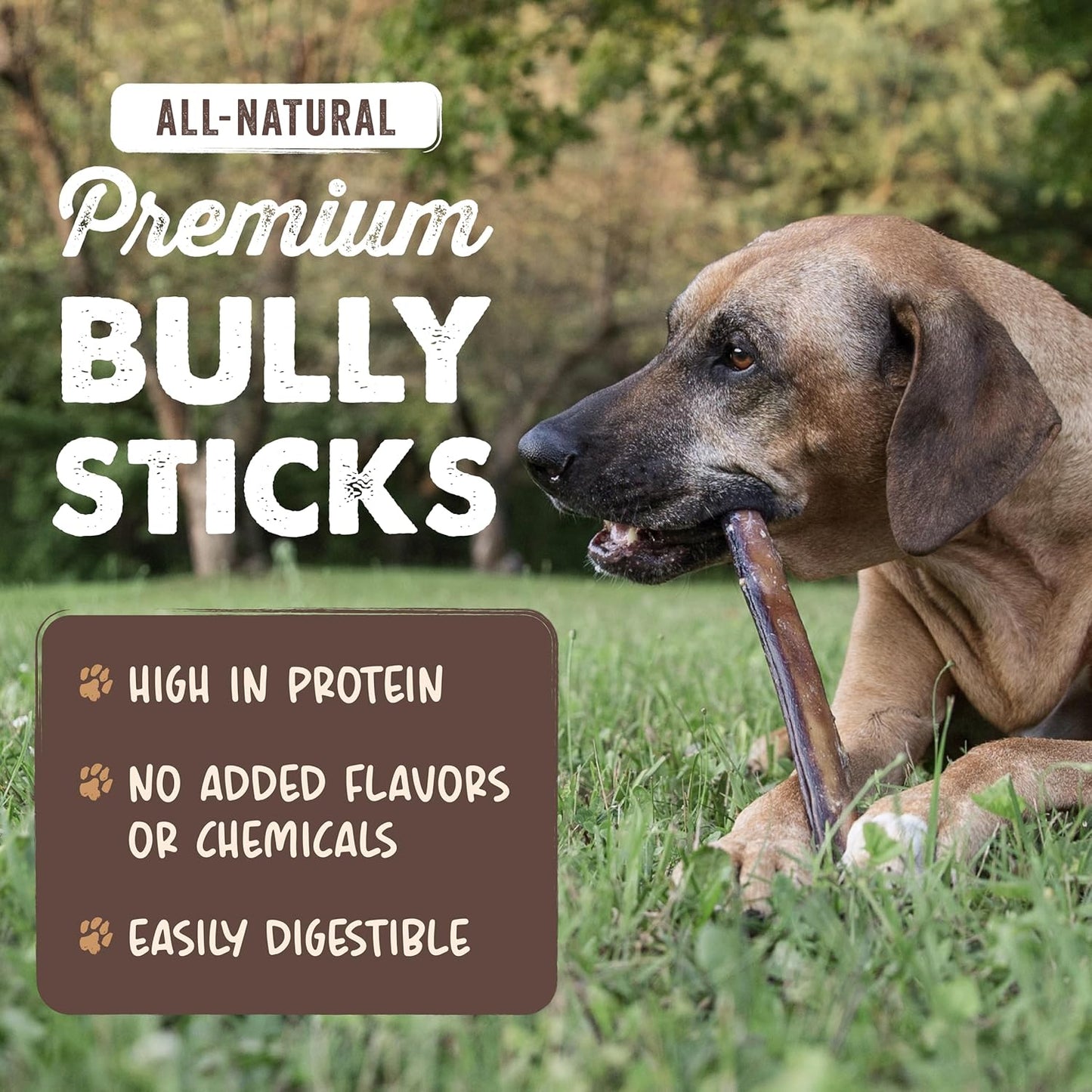Mighty Paw Naturals Bully Sticks for Small & Medium Dogs - Grass Fed Beef Chews. Bully Sticks for Large Dogs. Lower Odor Stick Treat. Single Ingredient (12" - 10 Pack)