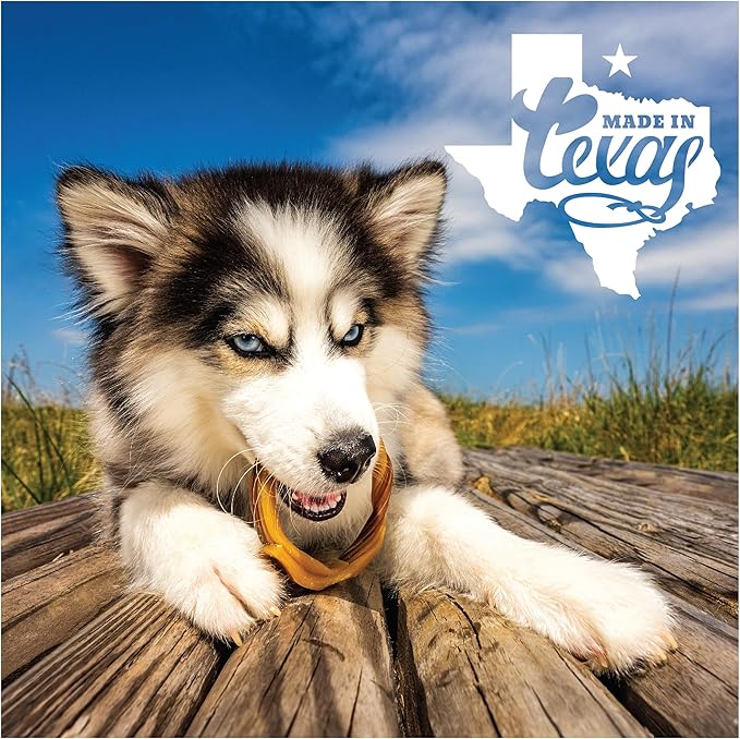 N-Bone Puppy Teething Rings Taste of Texas Chicken Fajitas Flavor 3 Count