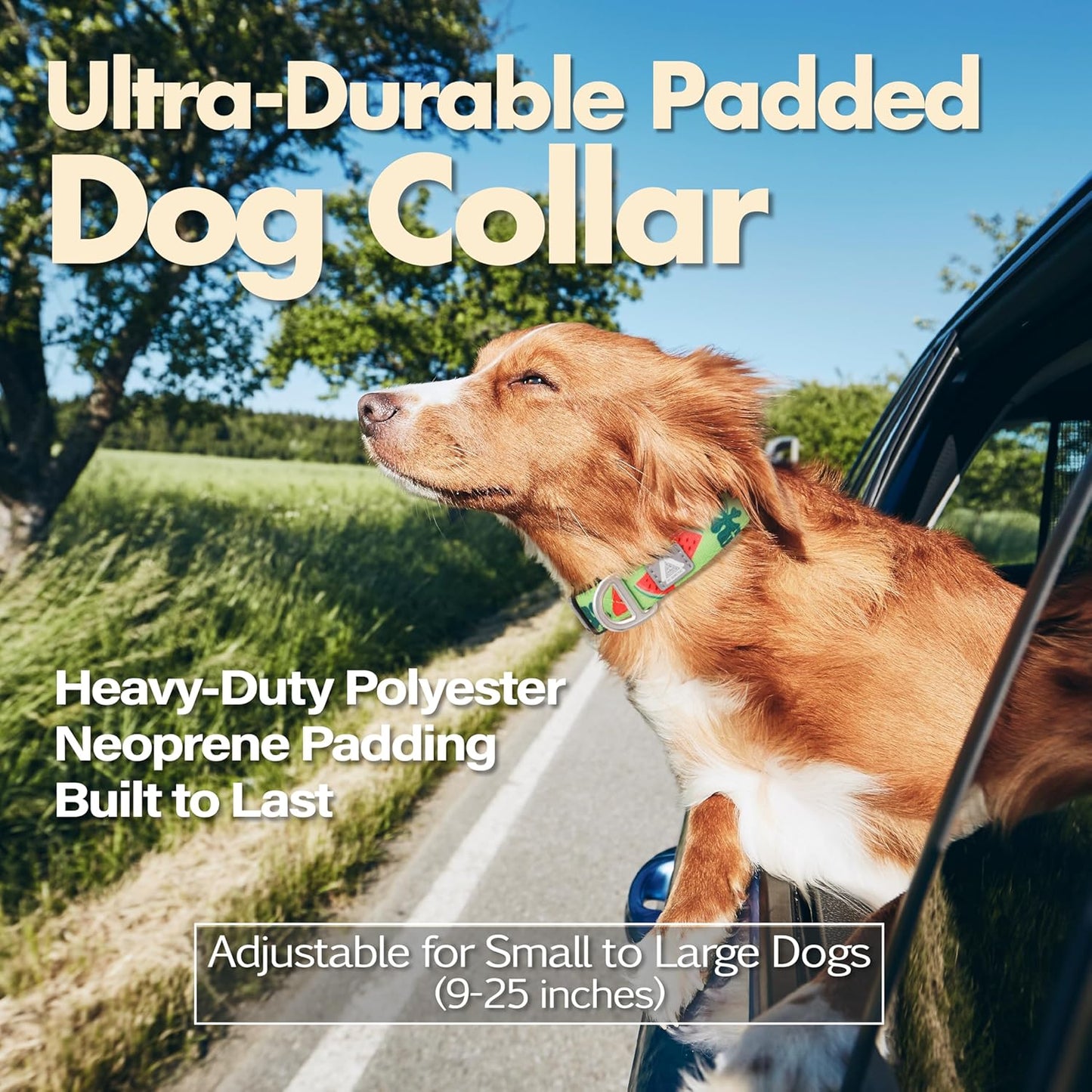 Cute Dog Collar, Summer Watermelon Print Reflective Padded Collar with Soft Neoprene, Adjustable Lightweight Pet Collar for Small Dogs, Puppies,Neck Size 9’’-14’’ (Watermelon, S)