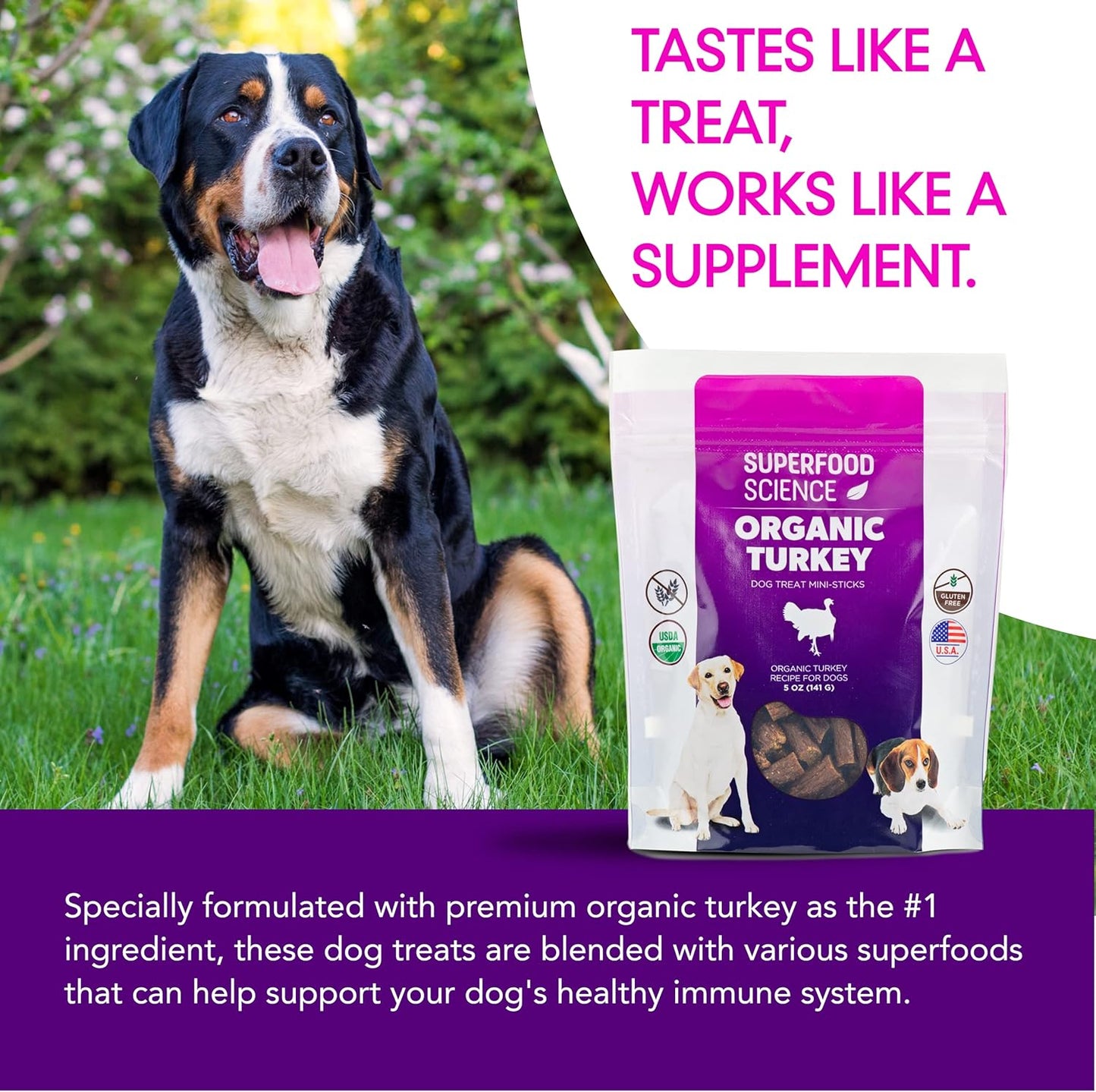 Organic Dog Treats for Small, Medium & Large Dogs – All-Natural Turkey Training Treats for Puppies & Adult Dogs, Grain-Free, Hypoallergenic, Healthy, Low-Calorie, Semi-Soft Chews, Made in USA, 5 oz