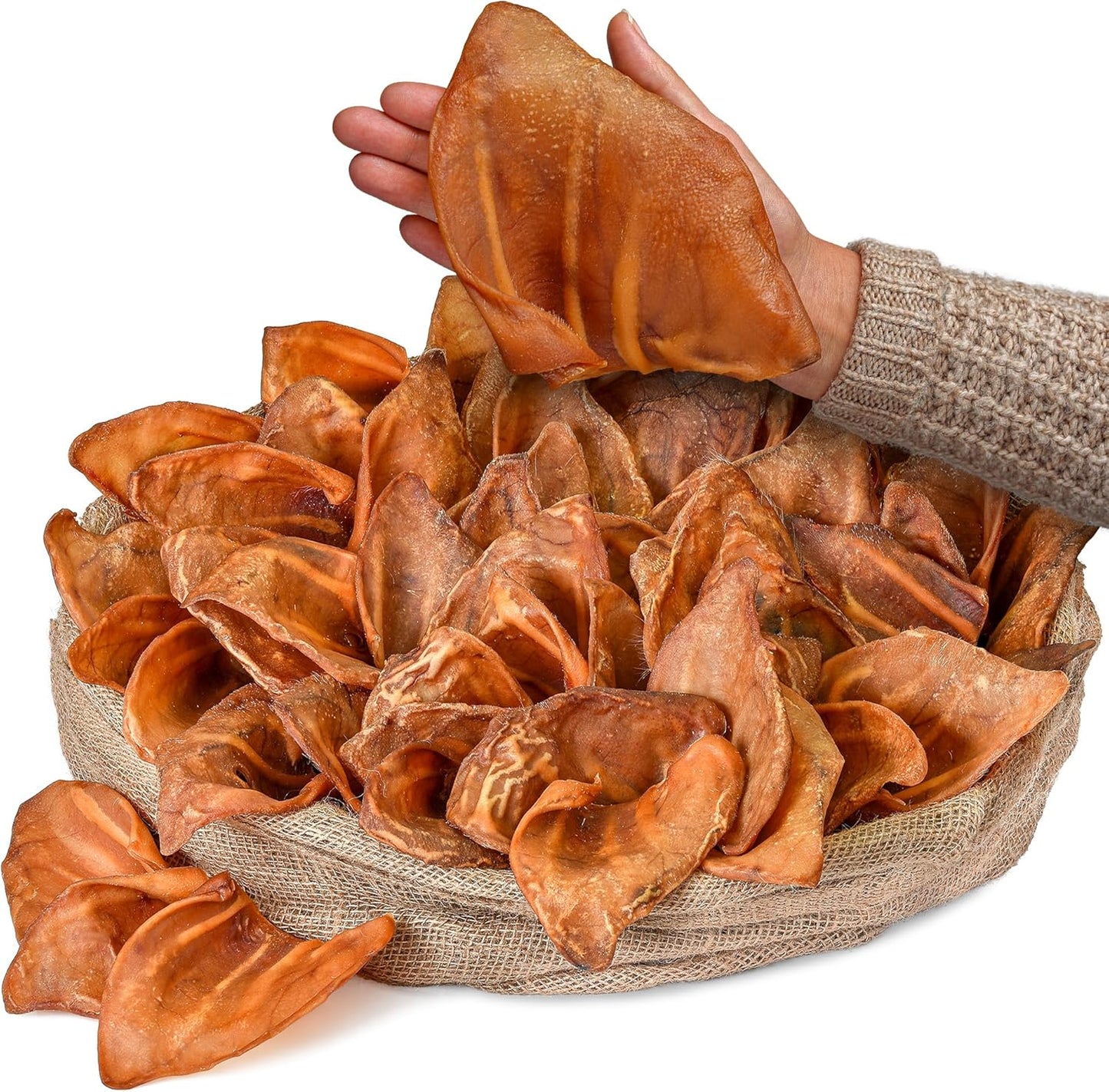 Healthy Whole Pig Ears (50 Count Pack of 1) | Natural Dog Treats | Rawhide Alternative Pigs Ears for Dogs | Single Ingredient Pig Ears Dogs Chews