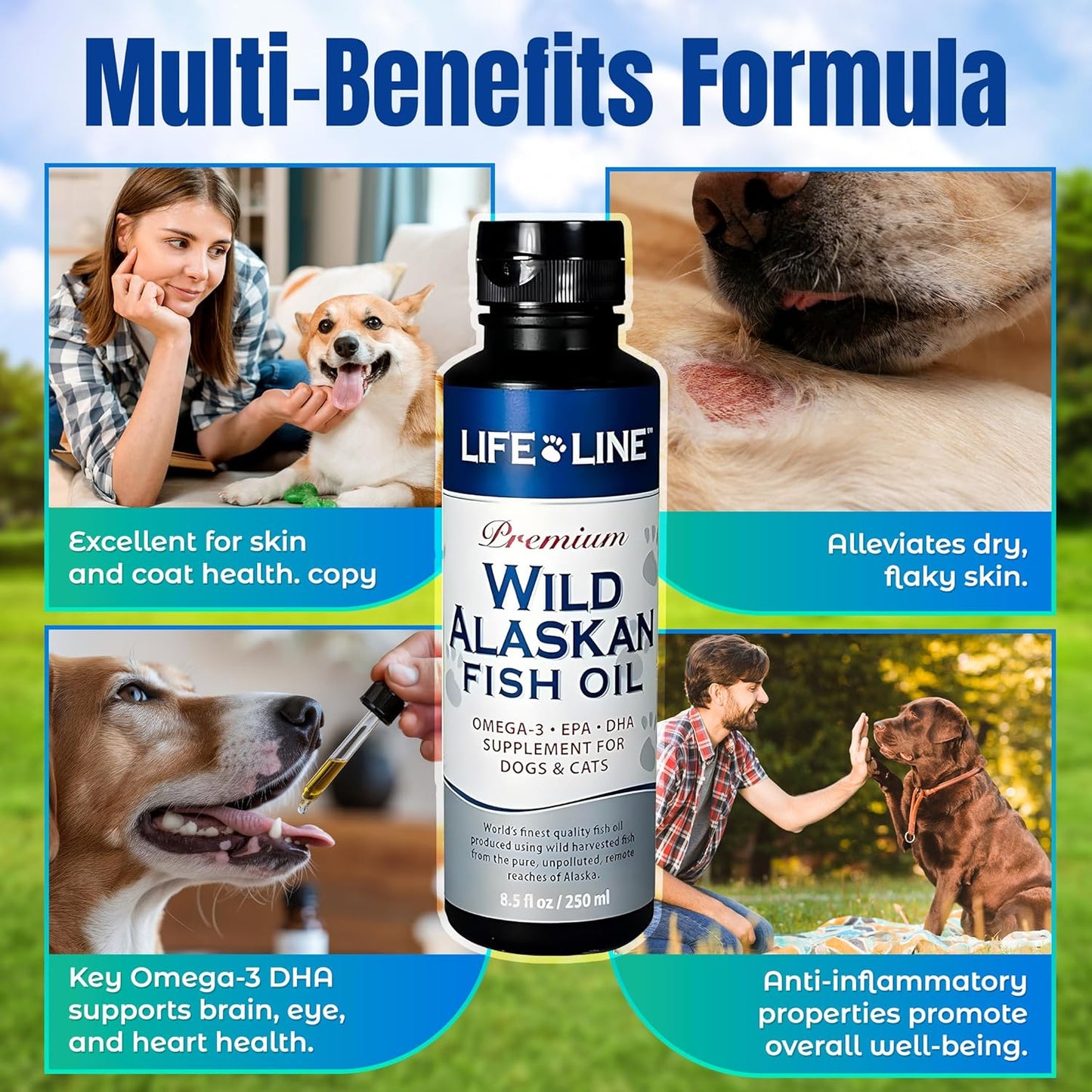 Life Line Pet Nutrition Wild Alaskan Fish Oil Omega-3 Supplement for Skin & Coat – Supports Brain, Eye & Heart Health in Dogs & Cats, 8.5oz