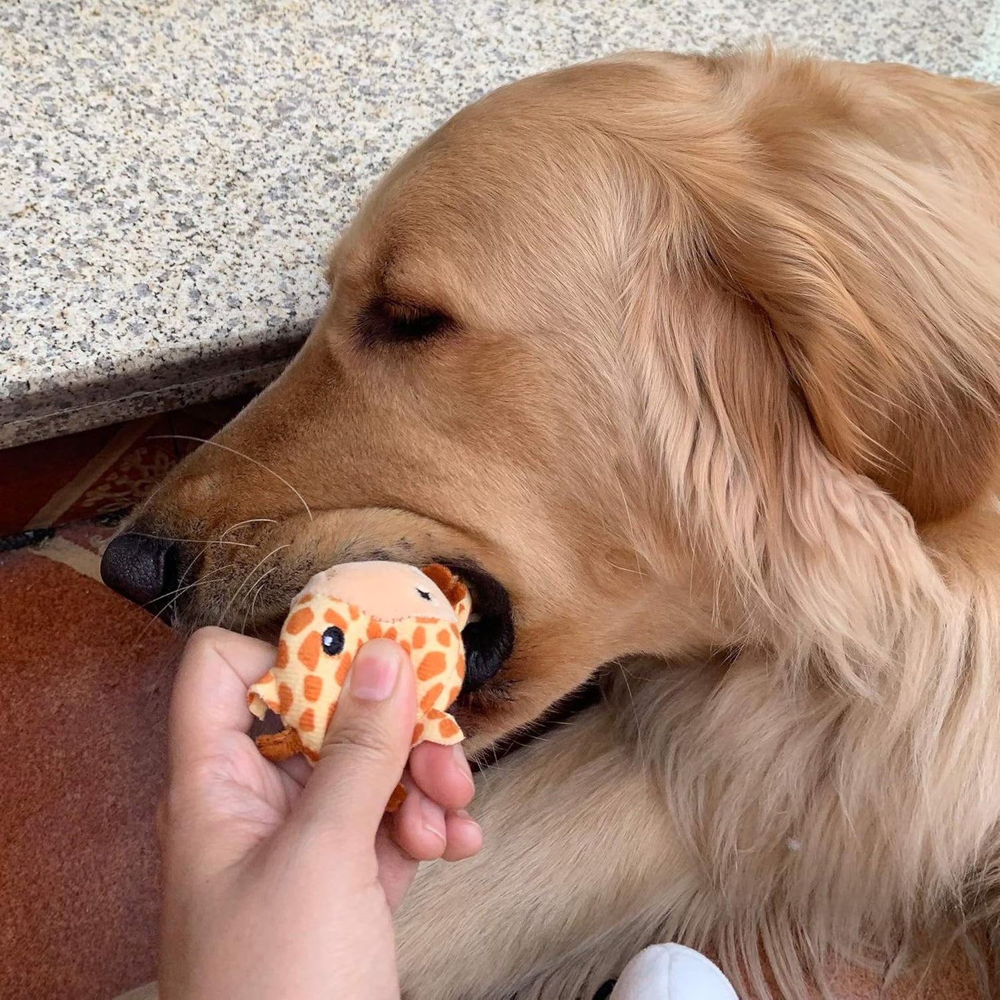 Jalousie 12 Pack Plush Animal Dog Toy, Premium Squeaky Chew Toys for Small Medium Dogs, Stuffed Puppy Toys for Pets - Dental Cleaning & Stress Relief