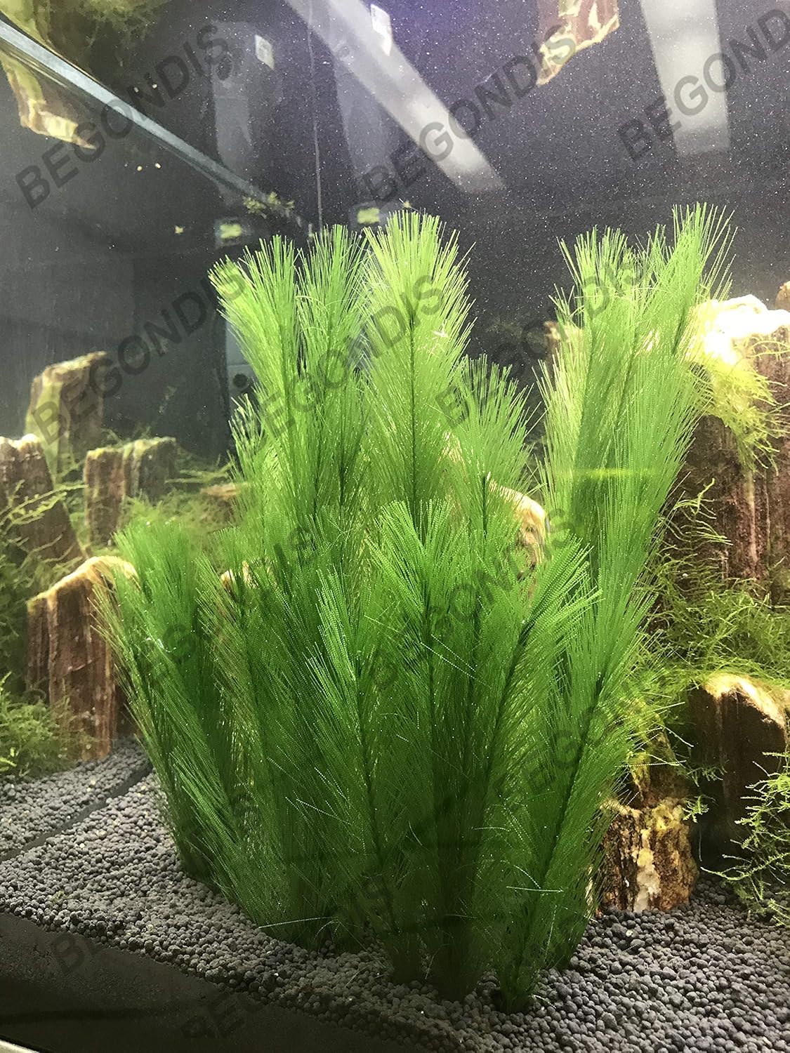 BEGONDIS Aquarium Decorations 3Pcs Fish Tank Artificial Green Water Plants Made of Silk Fabrics Plastic