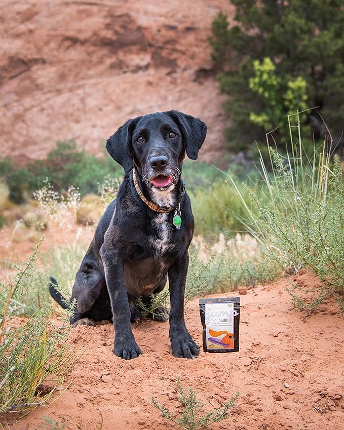 Jump Soft Chews for Daily Joint Care and Endurance Support for Dogs with Glucosamine HCl, MSM, Fish Oil, Ginger, Yucca, and Coconut Oil for All Life Stages, 5.3 oz. (30 count)