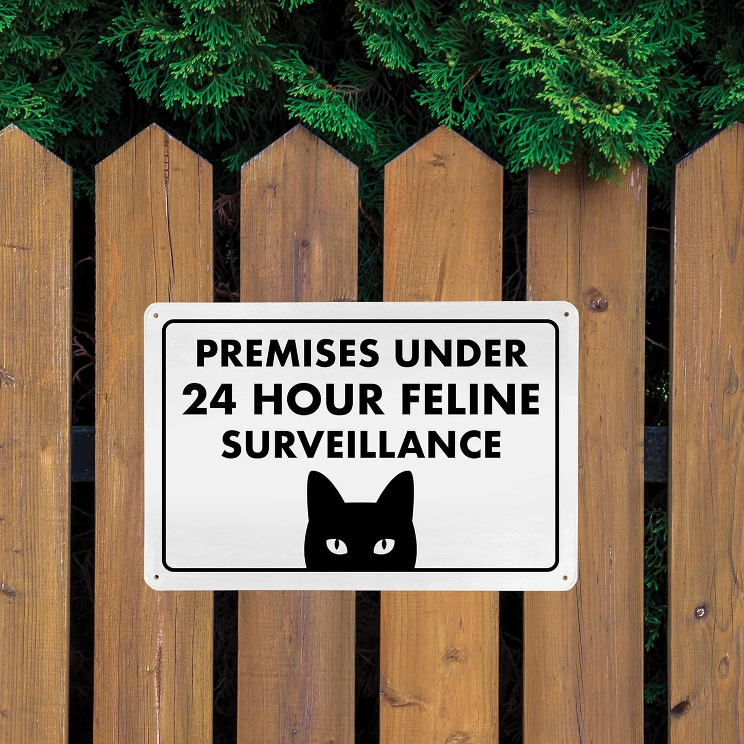 Funny HALLOWEEN Sign - Beware Guard Cat on Duty 8" x 12" Humorous Metal Sign, Home & Cat Decor, Bundled with Adhesive Hook & Loop Strips, Nails and Screws for Multiple Mounting Options - ENVISIONED Signage
