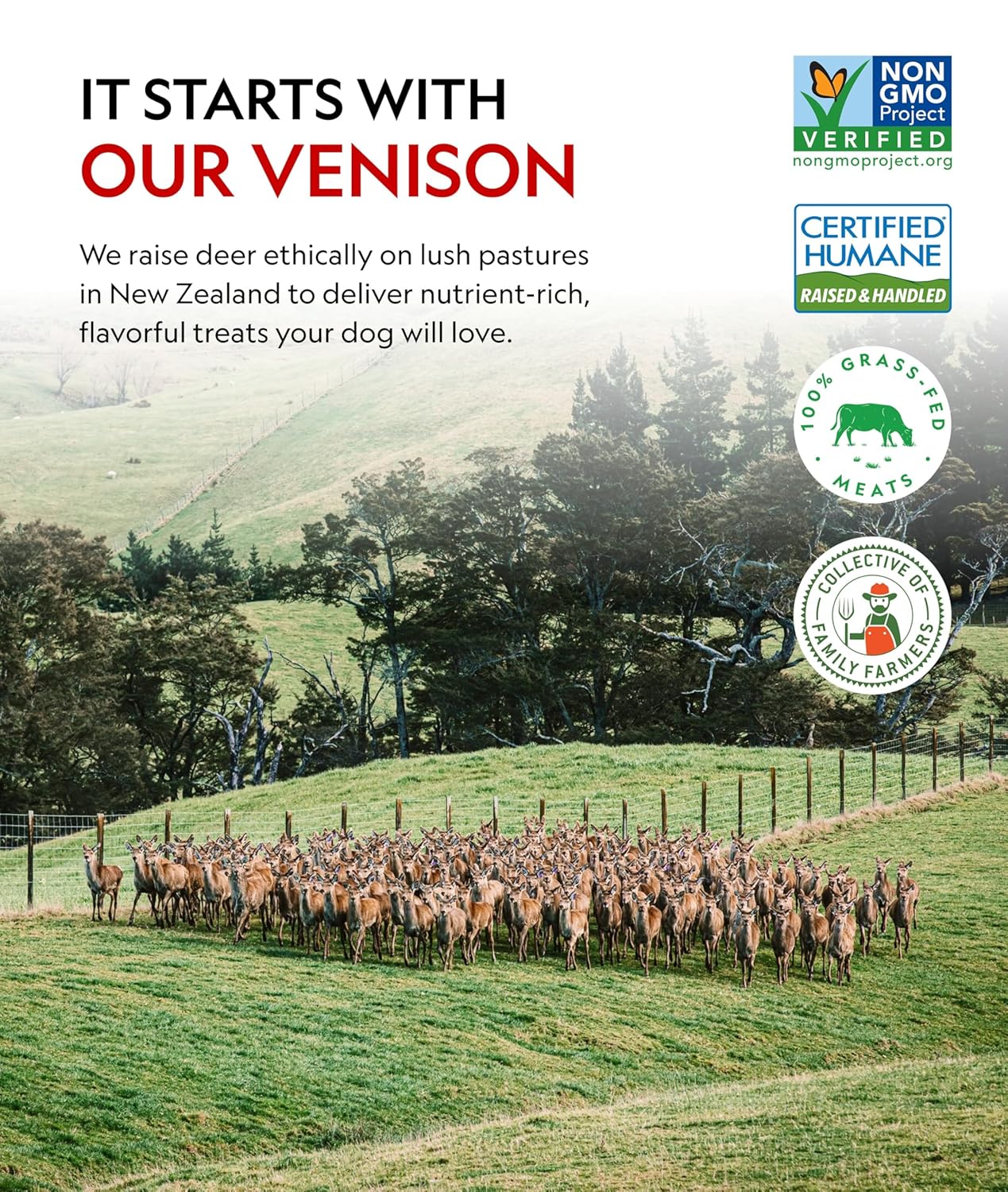 First Light Farms Freeze-Dried Venison Liver Dog Treats | 3oz Bag | 100% Single Ingredient | Free-Range, Pasture-Raised | Nutrient-Dense, High Protein