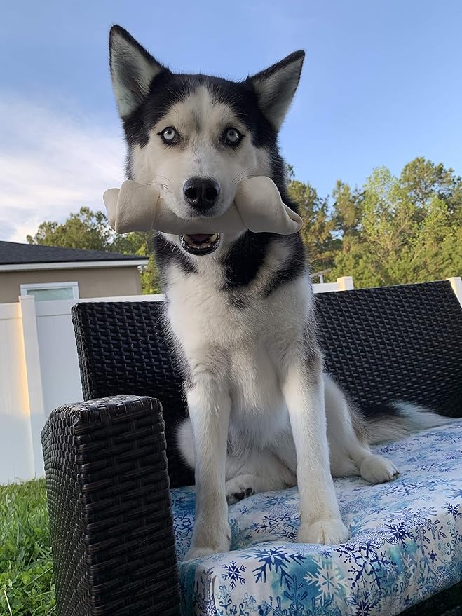 hotspot pets 8-9 Inch Large Rawhide Dog Chew Bones - (20 Pack) Made from Grass Fed Cows - Great for Dental & Oral Care for Aggressive Chewers Large Dogs