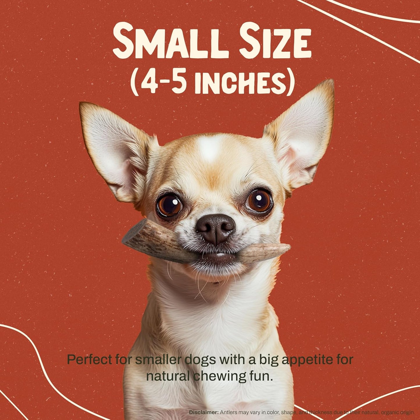 Heartland Deer Antlers for Dogs - Daily Dental Care Chews for Aggressive Chewers to Reduce Plaque & Prevent Destructive Behavior (Small, 4–5, 2-Pack, Grade A, USA Made)