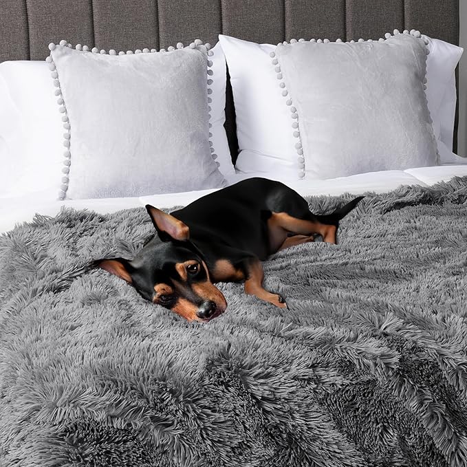 PetAmi Waterproof Dog Blanket for Medium Large Dogs, Calming Fleece Cat Blanket, Couch Protector Washable Sherpa Faux Fur Pet Throw for Puppy, Soft Reversible Leakproof 40x60 Gray