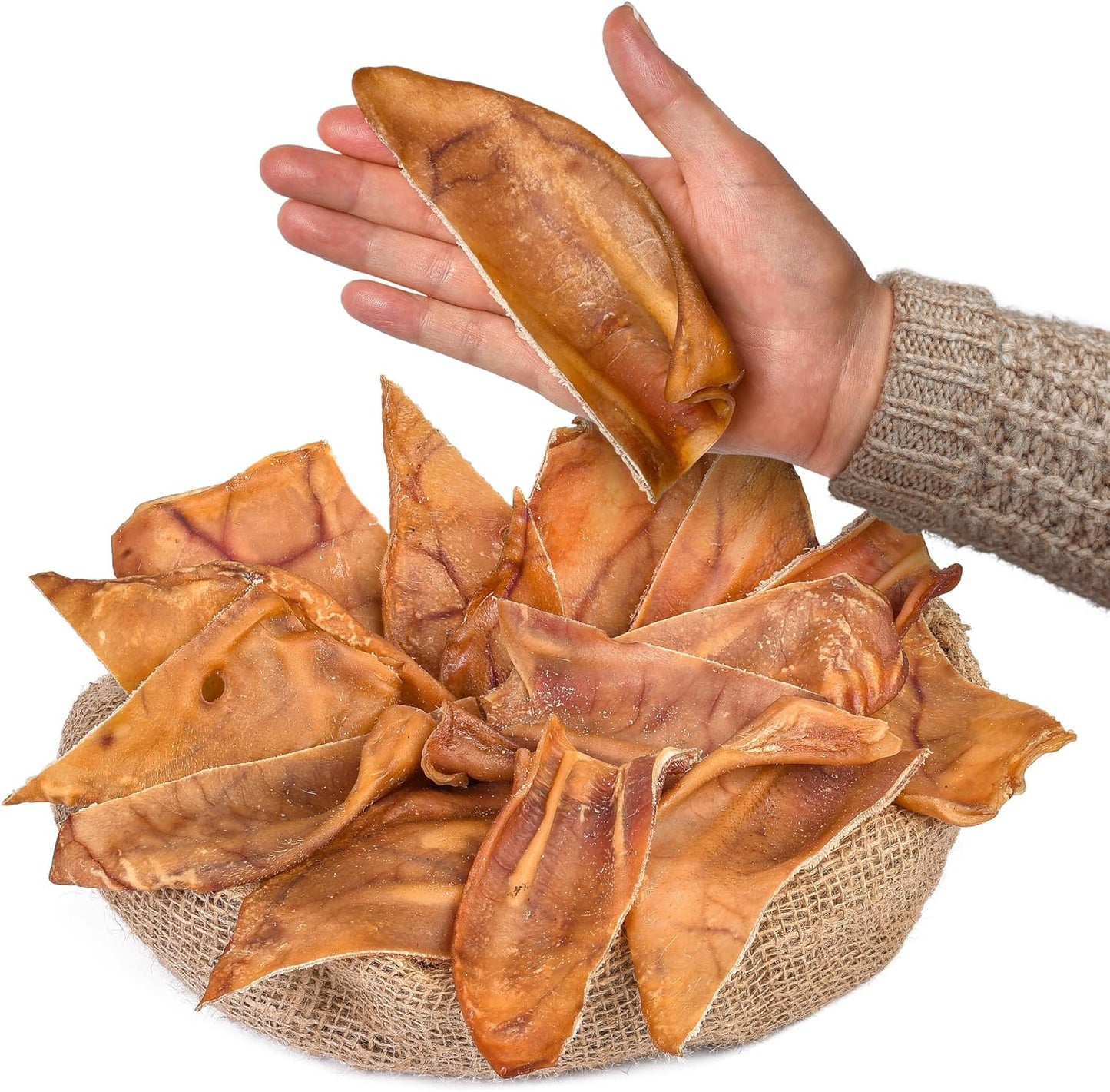 Half Pig Ears 15 pcs | Natural Chews | Single Ingredient Treats | Rawhide Alternative | Grain-Free | Dental Snack for Pets