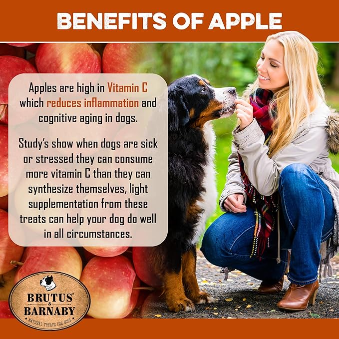 BRUTUS & BARNABY USA Sweet Potato Dog Treats - Crunchy Grain Free Cinnamon Apple Sticks, Promotes Positive Gut Health with Natural Anti-Diarrhea Properties (Cinnamon & Apple, 12 oz)