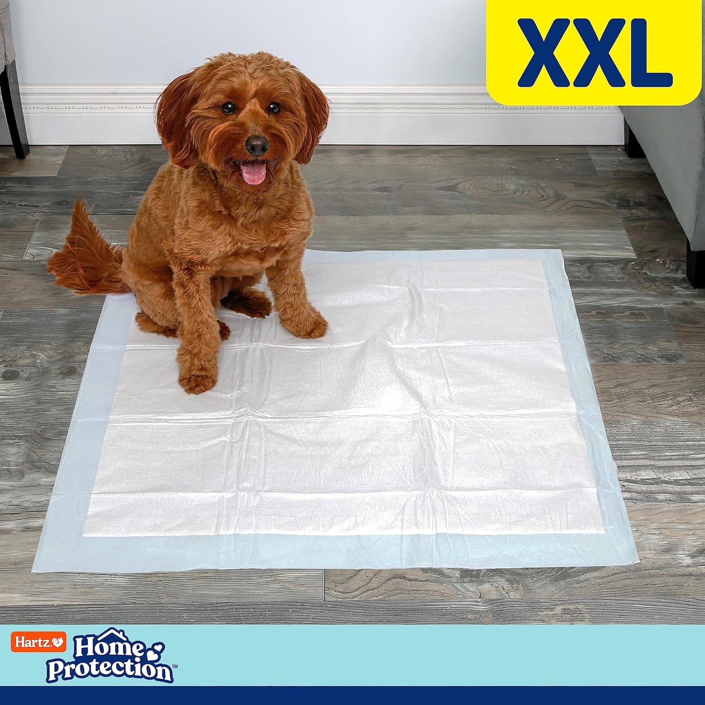 Hartz Home Protection Mountain Fresh Scented USA Made Dog Pads, XXL 60 Count, Super Absorbent & Won't Leak, Odor Eliminating