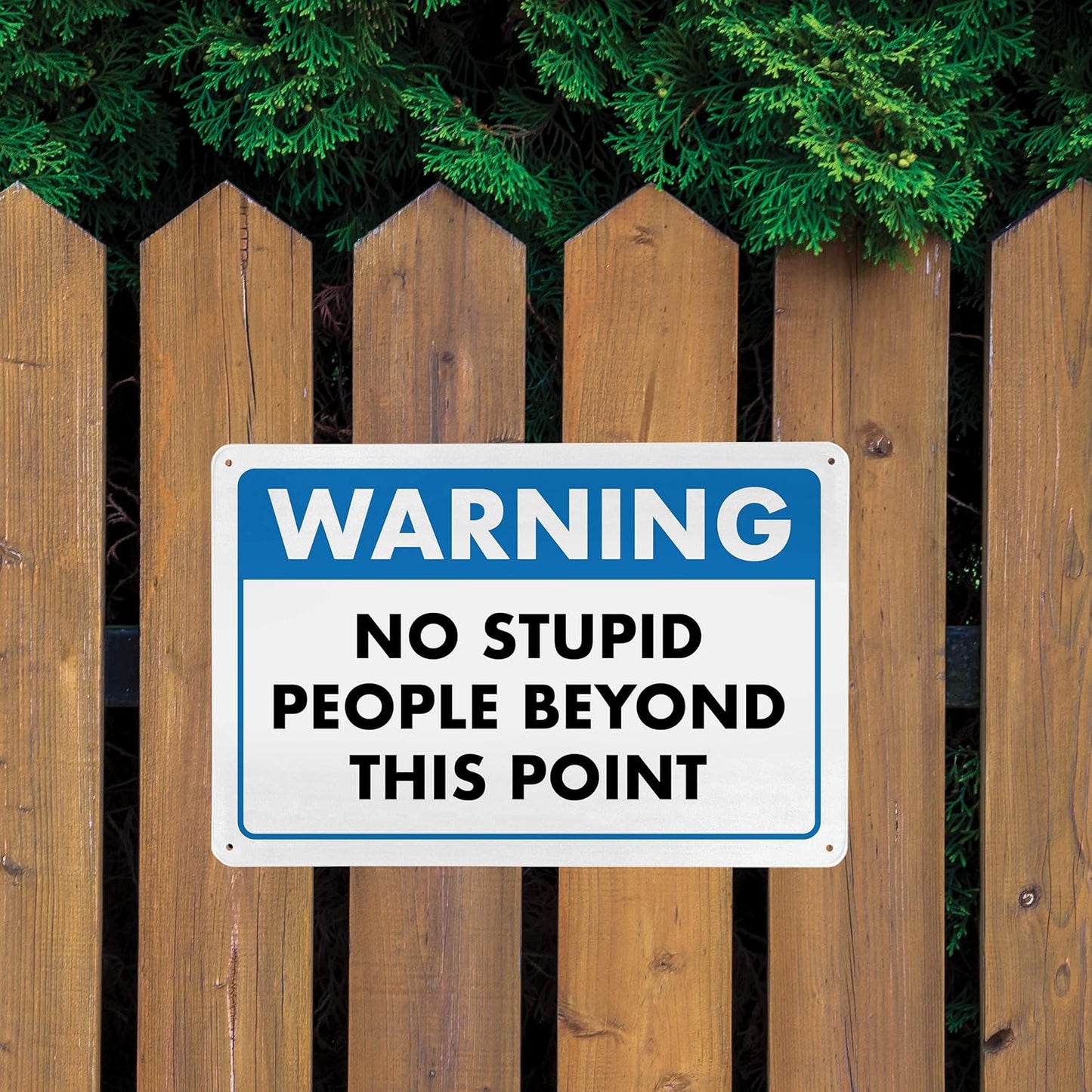 Warning, No Stupid People Beyond This Point - Humorous Metal Sign - 8" x 12" - Funny Garage Sign, Office Wall Decor, Mechanic Gift, Street Sign for Bedroom - ENVISIONED Signage
