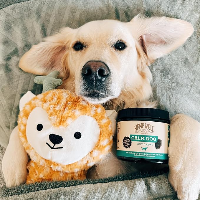 Organically Sourced Hemp Well Calm Dog Soft Chews - Anxiety Relief Treats for Dogs, Helps with Separation Anxiety and Travel, Melatonin and Hemp Dog Calming Chews (1 Pack (30 Chews))